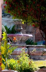 Garden, Antigua, Guatemala